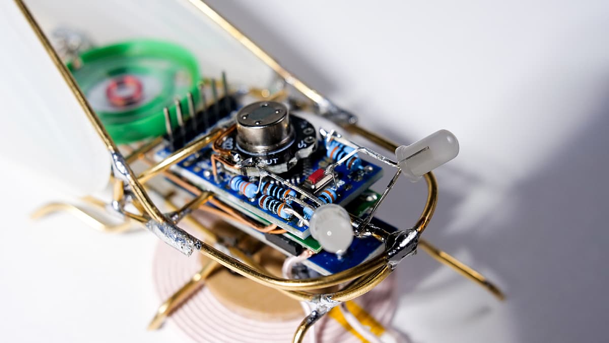 Electronic system inside a KIHIKIHI cicada
