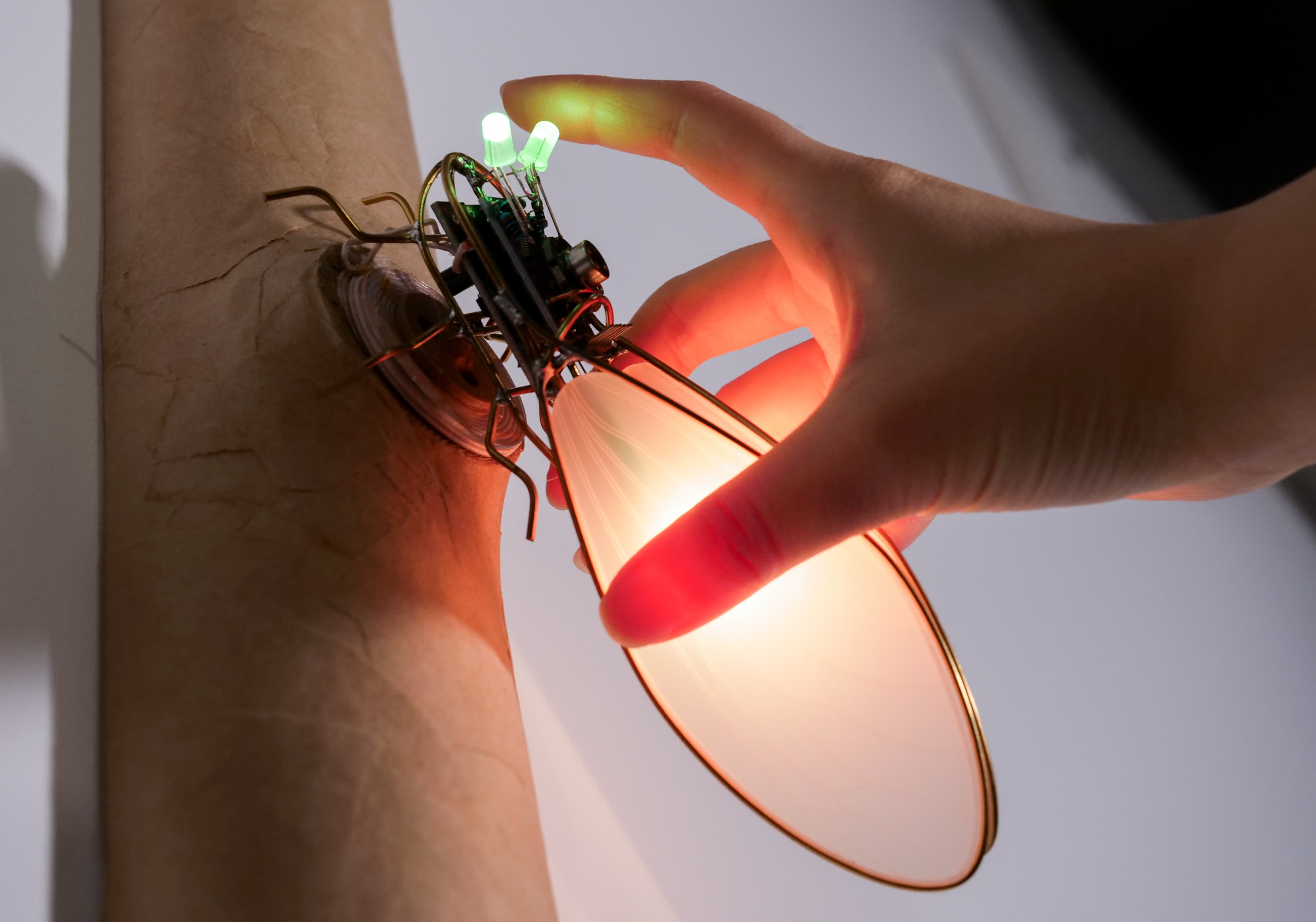 Visitor interacting with an electronic cicada